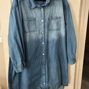 Denim Button-Up Shirt Dress